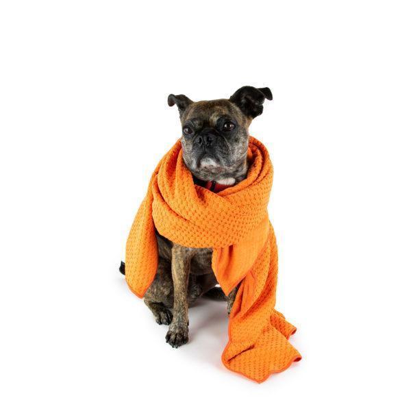 A dog wrapped in Nellie's Double Dry Pet Towel